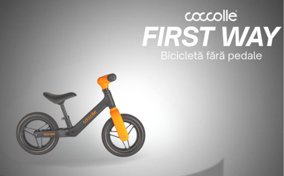 Bicicleta fara pedale First Way